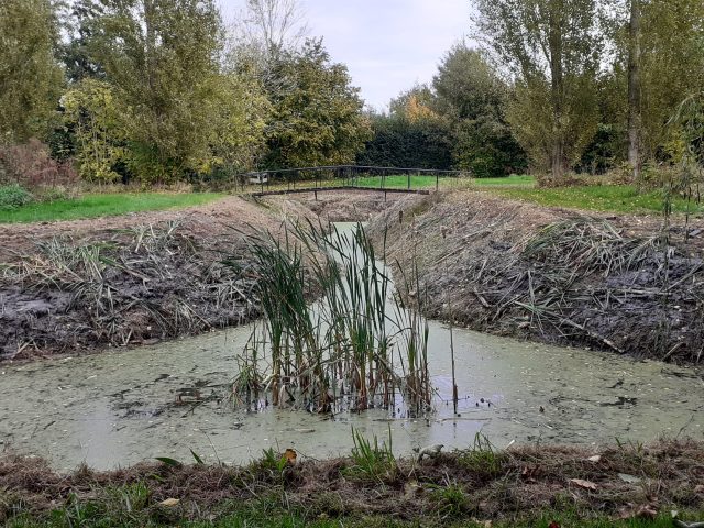 Nieuwsbrief 1 november 2025