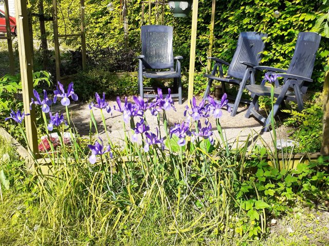 17 mei 2026 Open tuin, het eerste zitje.